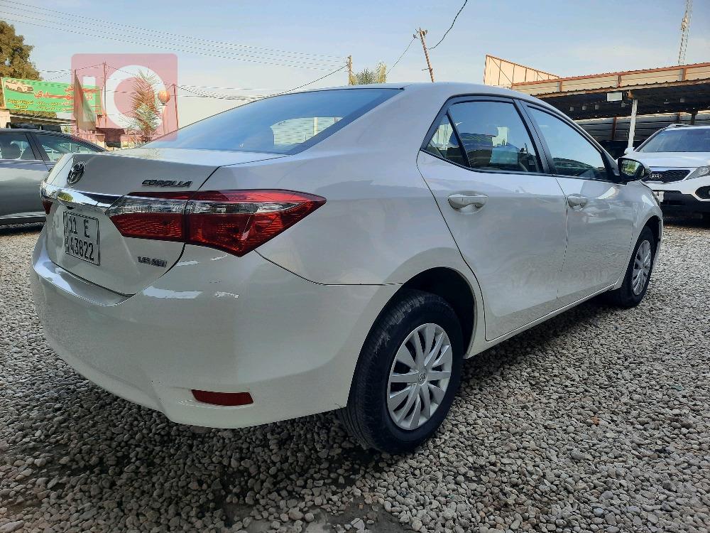 تويوتا كورولا